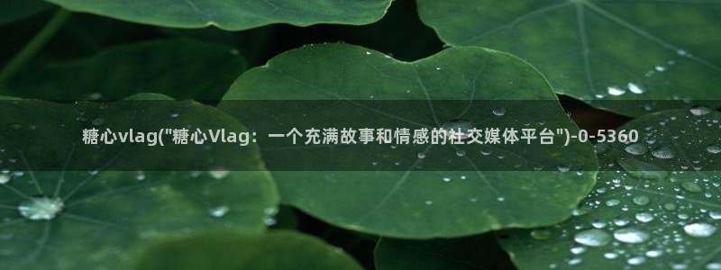 糖心vlog网页版：糖心vlag(\