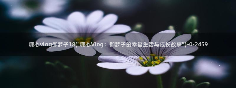 糖心vlog二代cc：糖心vlog御梦子18(\