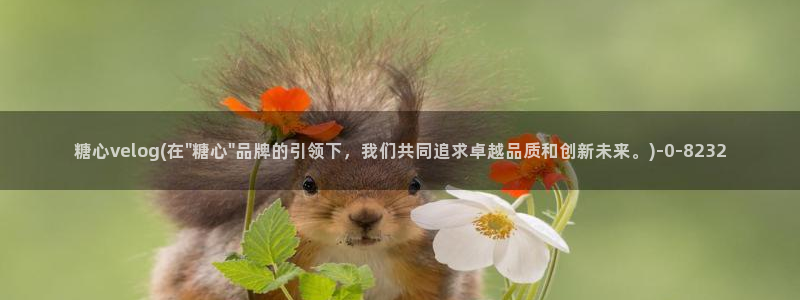 糖心vlog免费破解：糖心velog(在\