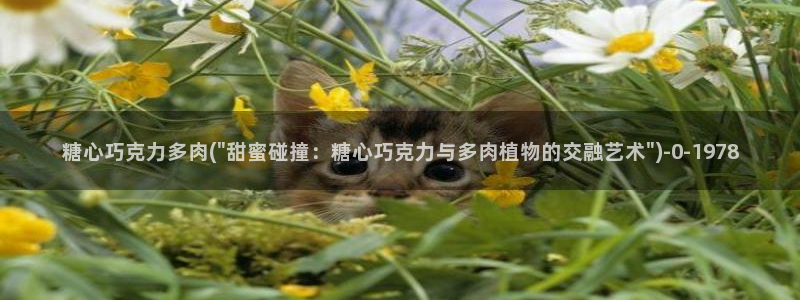 糖心vlog资源：糖心巧克力多肉(\