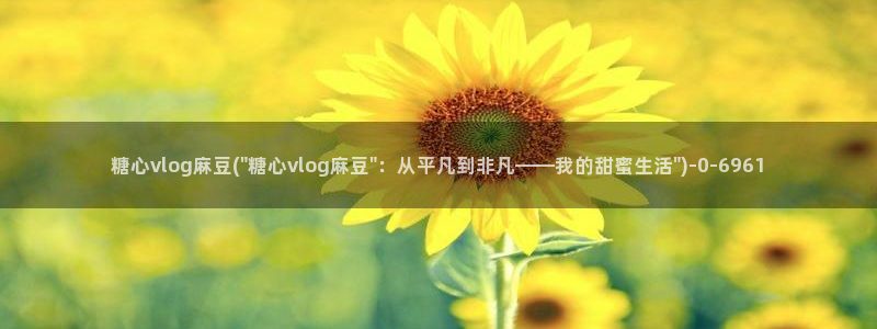 糖心vlog小水水