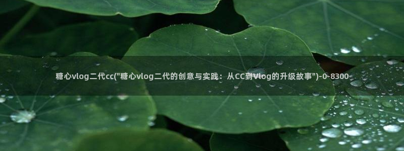 心糖vlog 破解版：糖心vlog二代cc(\