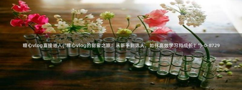 糖心vlog破译