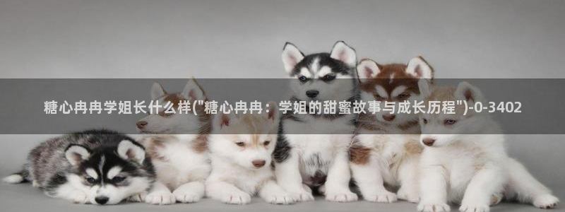 糖心vlog官方在线观看