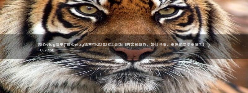 糖心vlog柚子猫内射频