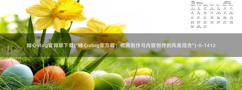 心糖vlog在线