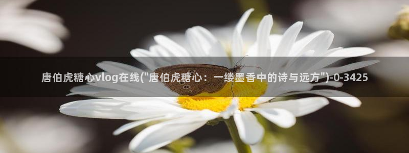 心糖vlog免费版：唐伯虎糖心vlog在线(\
