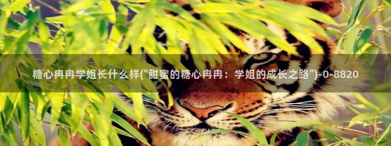 糖心视频vlog娜娜